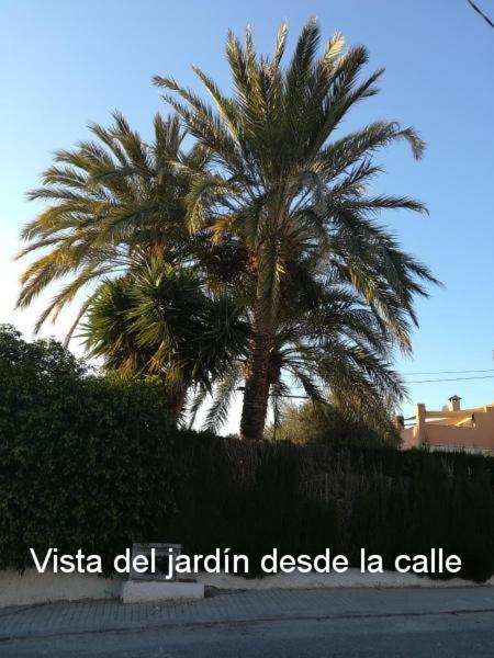 Sun & Palm Trees Lägenhet Balsares Exteriör bild